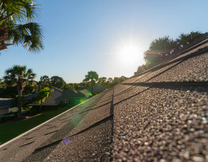 Asphalt Shingle Roofing